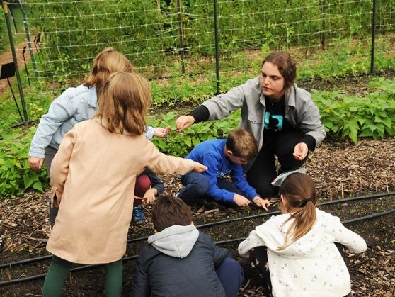 Teaching for the crop