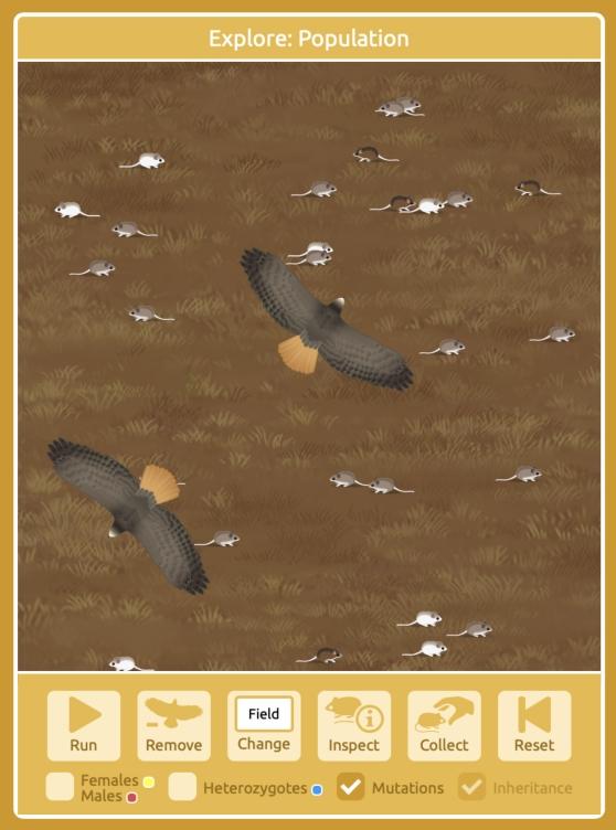 Linking to Learning simulations Apr 2024