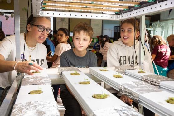 Growing Scientists in Gowanus