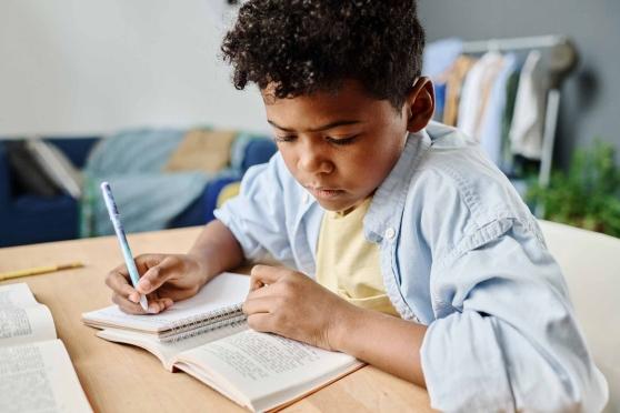 Boy doing homework