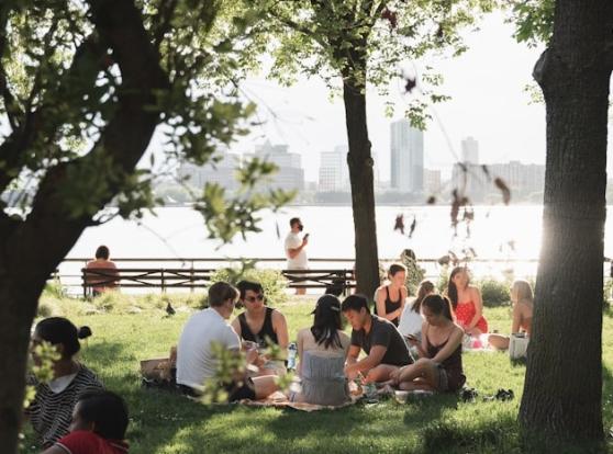 Group of young adults sitting in the park for a summer afternoon picnic