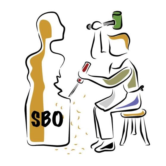 School Based Options