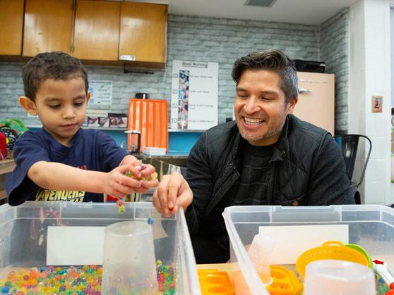 Building their brains