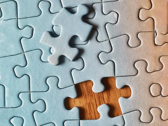 Puzzling out