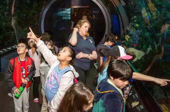 Third-graders are enthralled as they walk with Collins through a 40-foot tunnel