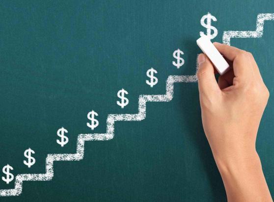 Salary Steps