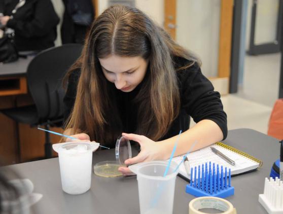A transformative experience 