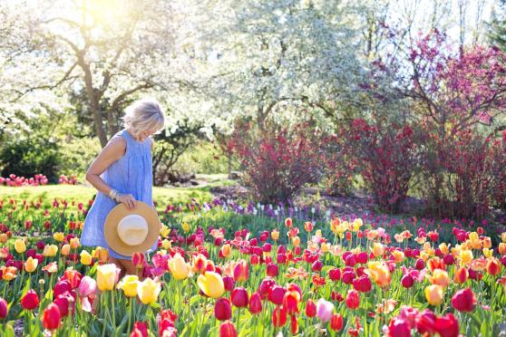 woman tulips spring
