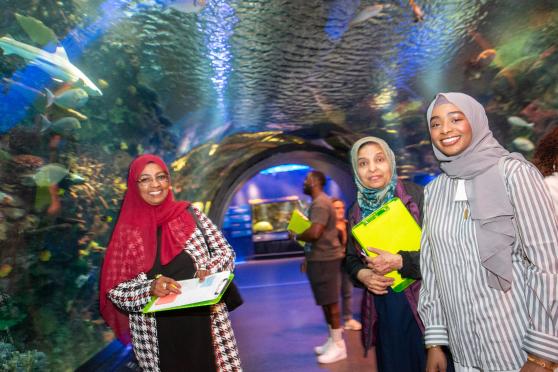 Three women visiting an aquarium.