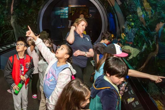 Third-graders are enthralled as they walk with Collins through a 40-foot tunnel