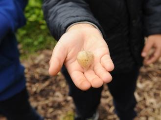 Teaching for the crop