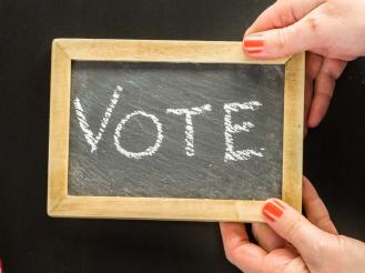 Primary Day Vote