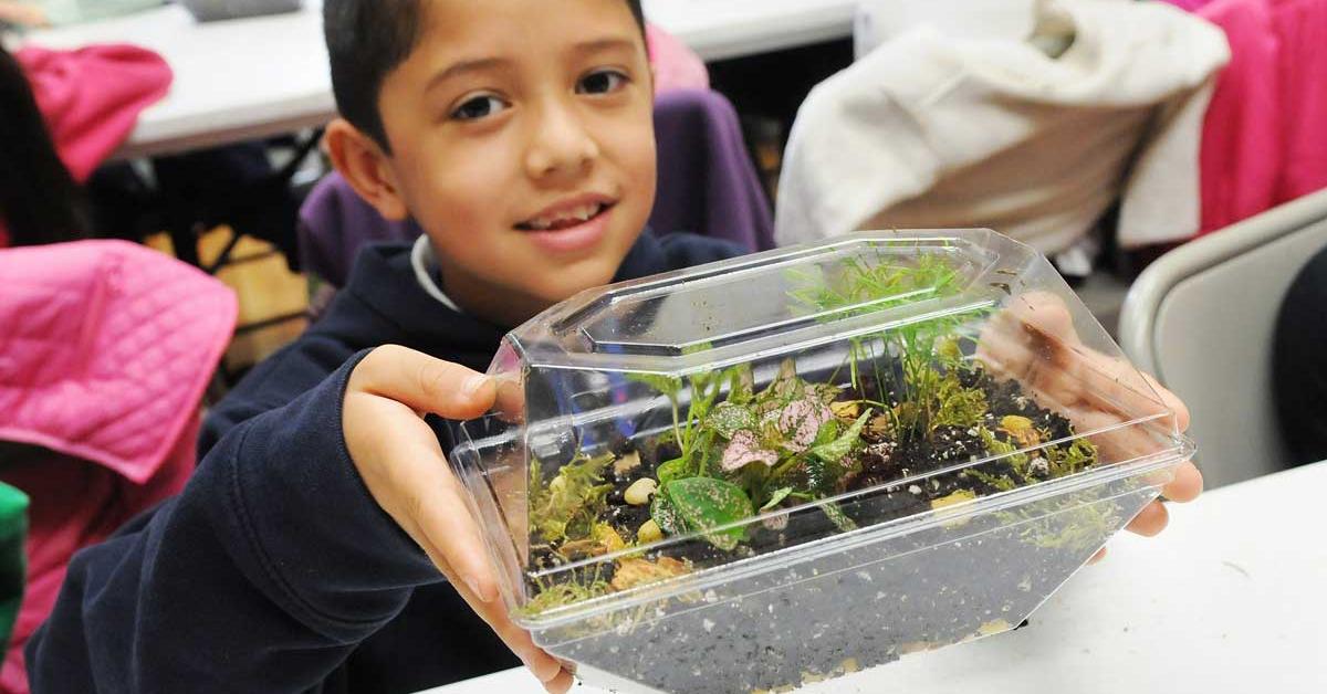 Planting seeds of learning