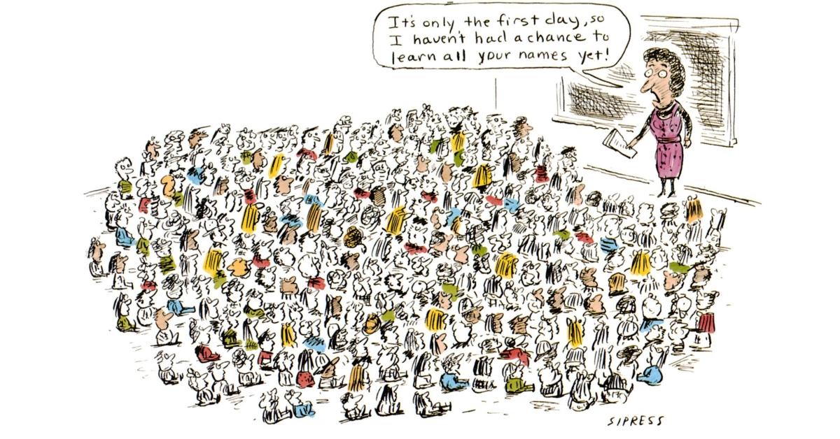 Why class size is important